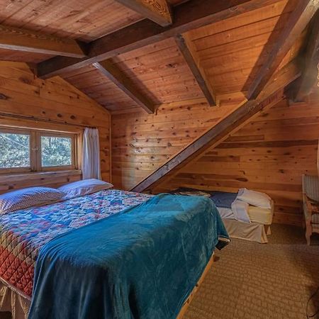 Forest Cabin 3 Bear'S Den Payson Exterior foto